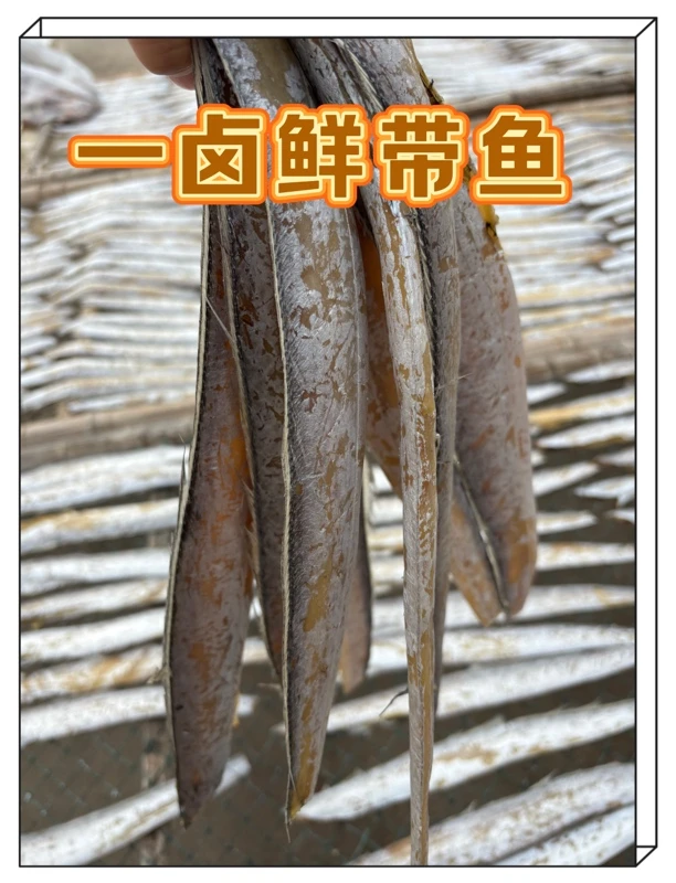 山东荣成一卤鲜带鱼（2斤/包）四斤包邮