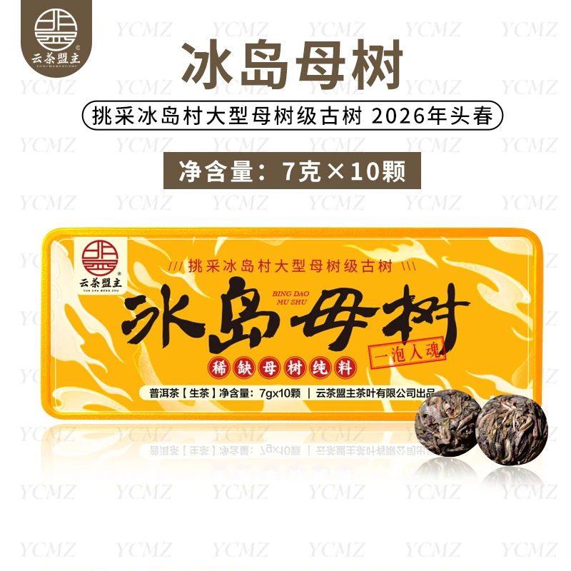 云茶盟主2026年【冰岛母树】龙珠!普洱茶 生茶!70克/盒/10颗!