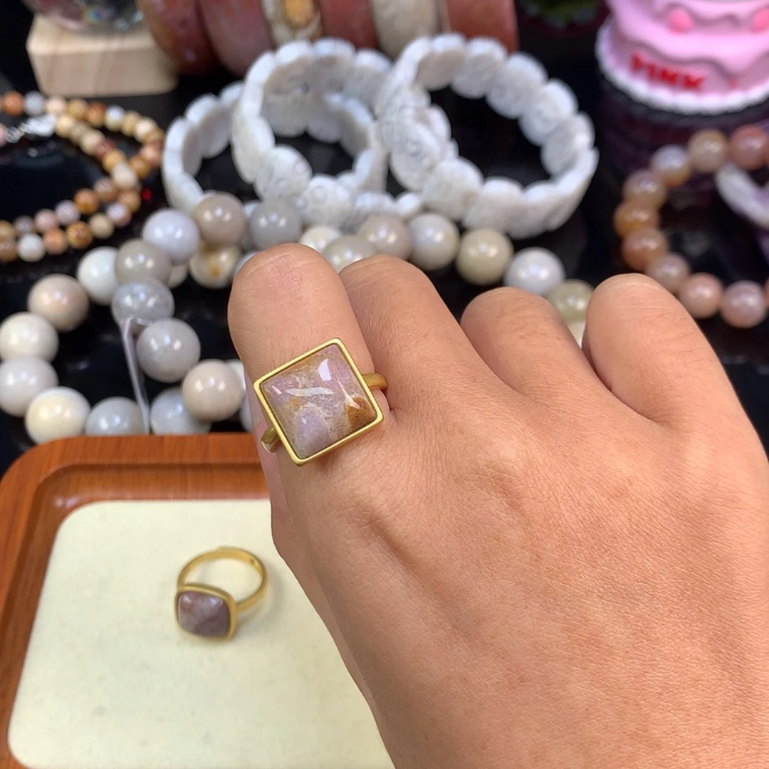 【闪购商品】颈饰未镶嵌硅化珊瑚（珊瑚玉）