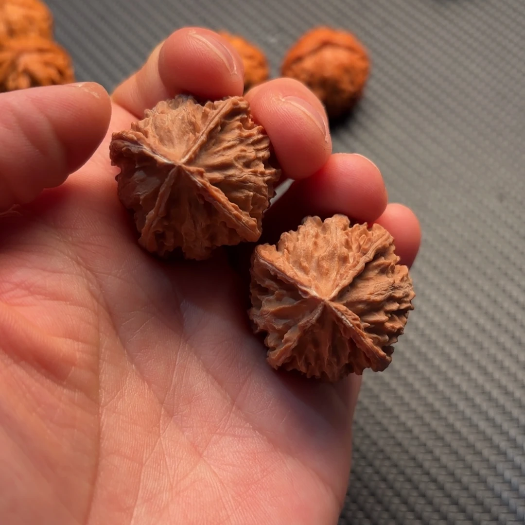 ****胜核桃哈哈哈哈哈哈哈哈哈