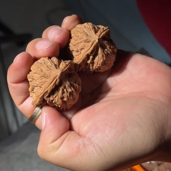 把件文玩核桃1001号全品南疆石40mm