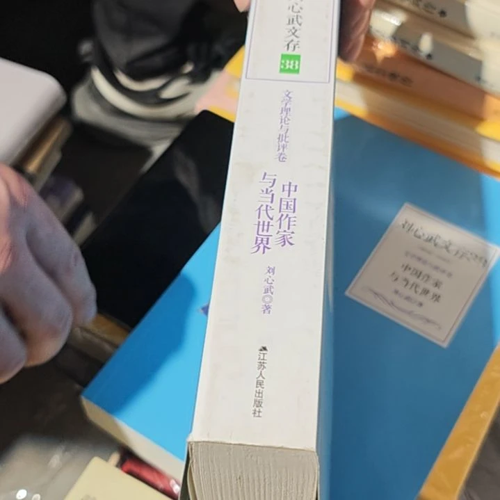 中国作家平装库存书（务必塑封）