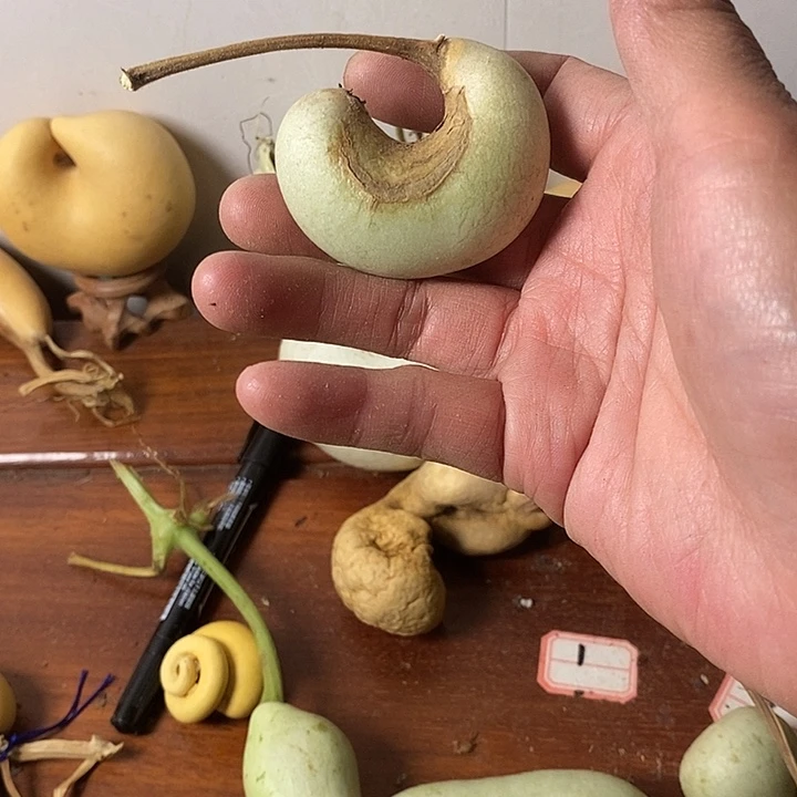 蒋***呀青皮腰子葫芦手把件葫芦