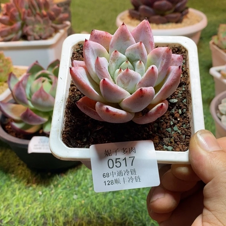 0517啊啊啊啊啊啊啊啊啊