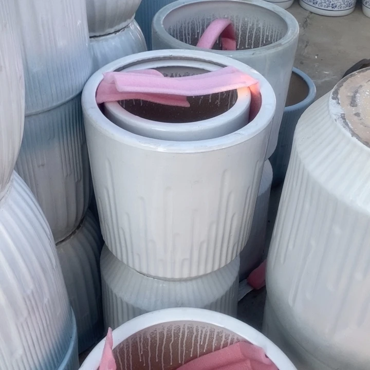 低腰白音符大号口33/36