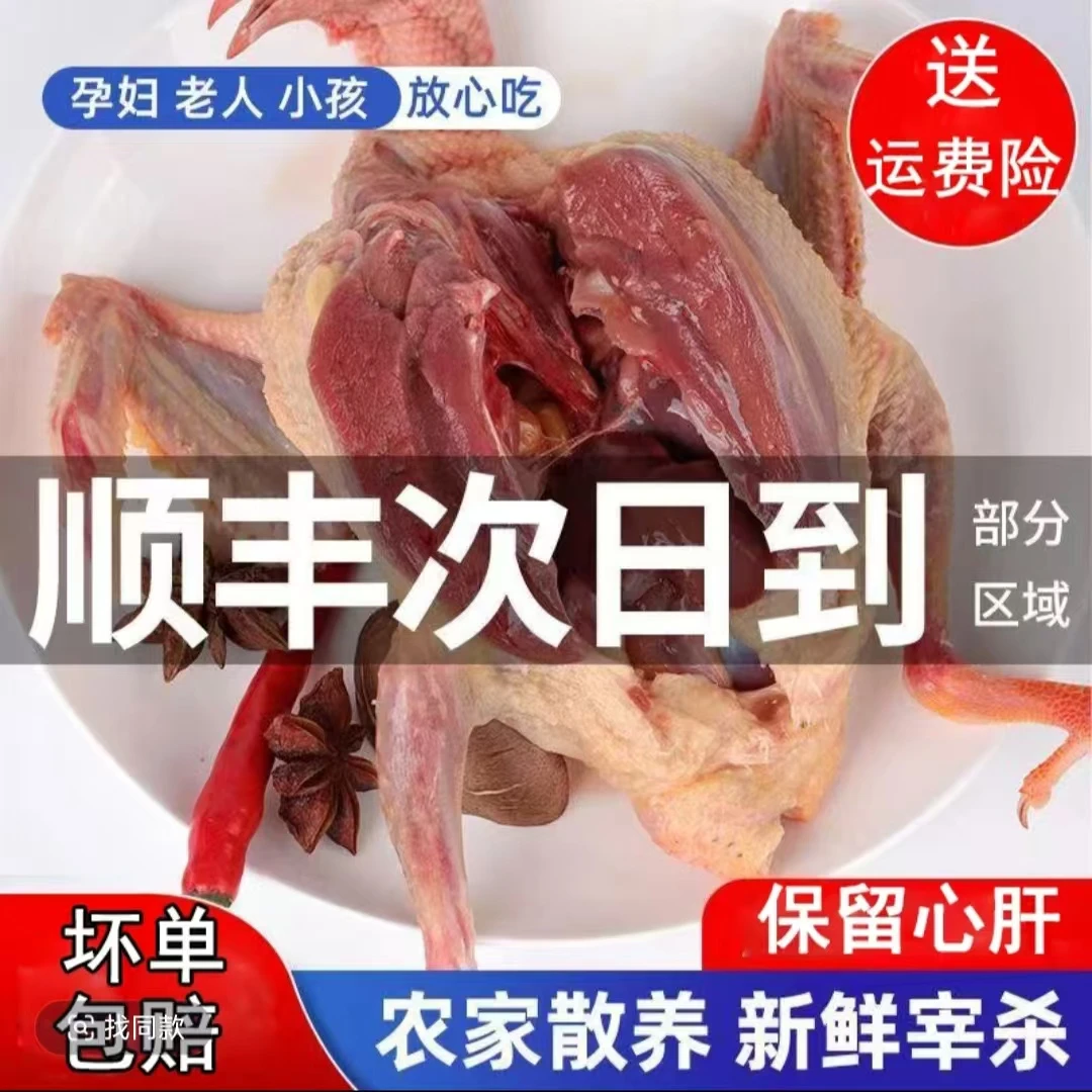 【拍3只送2只】杂粮喂养新鲜现杀土鸽顺丰京东包邮