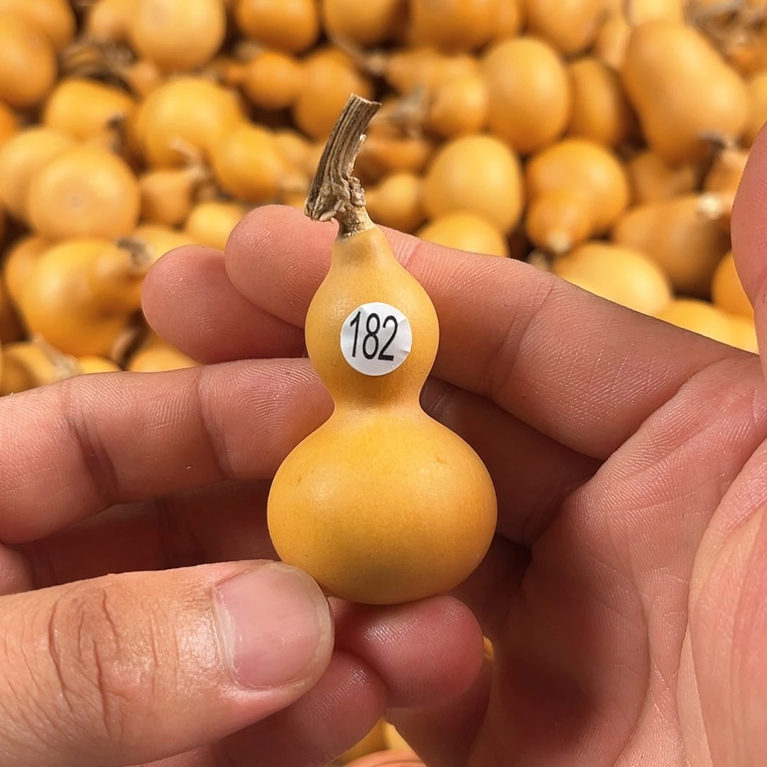 一葫芦葫芦葫芦葫芦182