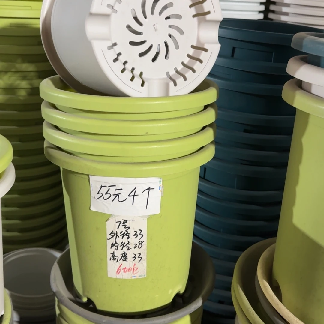 四季7#口径33高33无拖果绿6个
