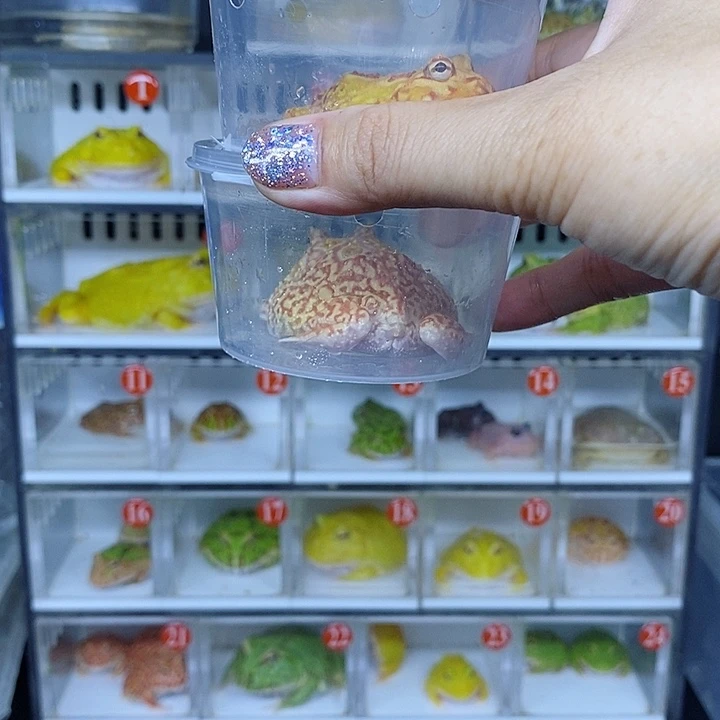 特价秒杀现货特价残