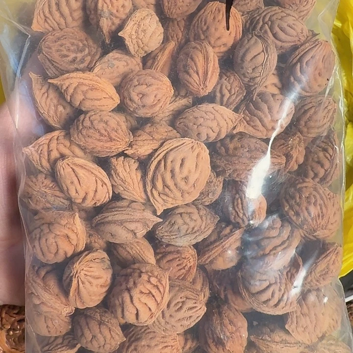 碧桃核特价处理130颗