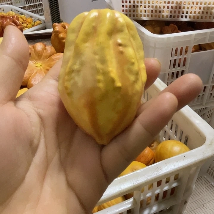 苯***明特价葫芦不退不换