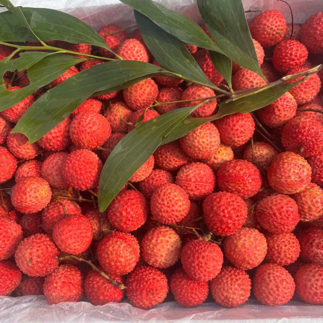 【即时零售】桂味荔枝 香甜多汁 3斤/6.8斤