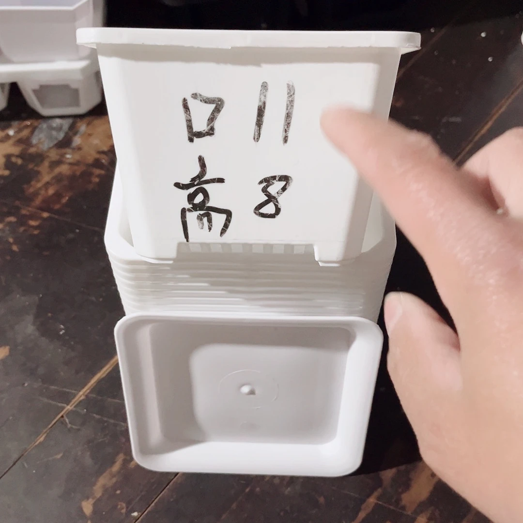 塑料福利款11方白色盆10个带托盘
