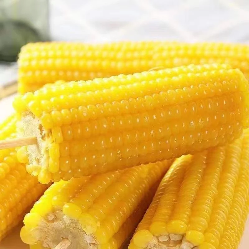 东北鲜食黄糯玉米整箱6.5斤-7斤到手14棒支持2棒试吃