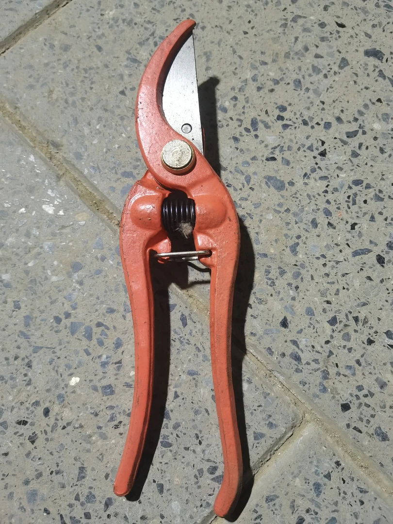 树枝剪刀，一把一单