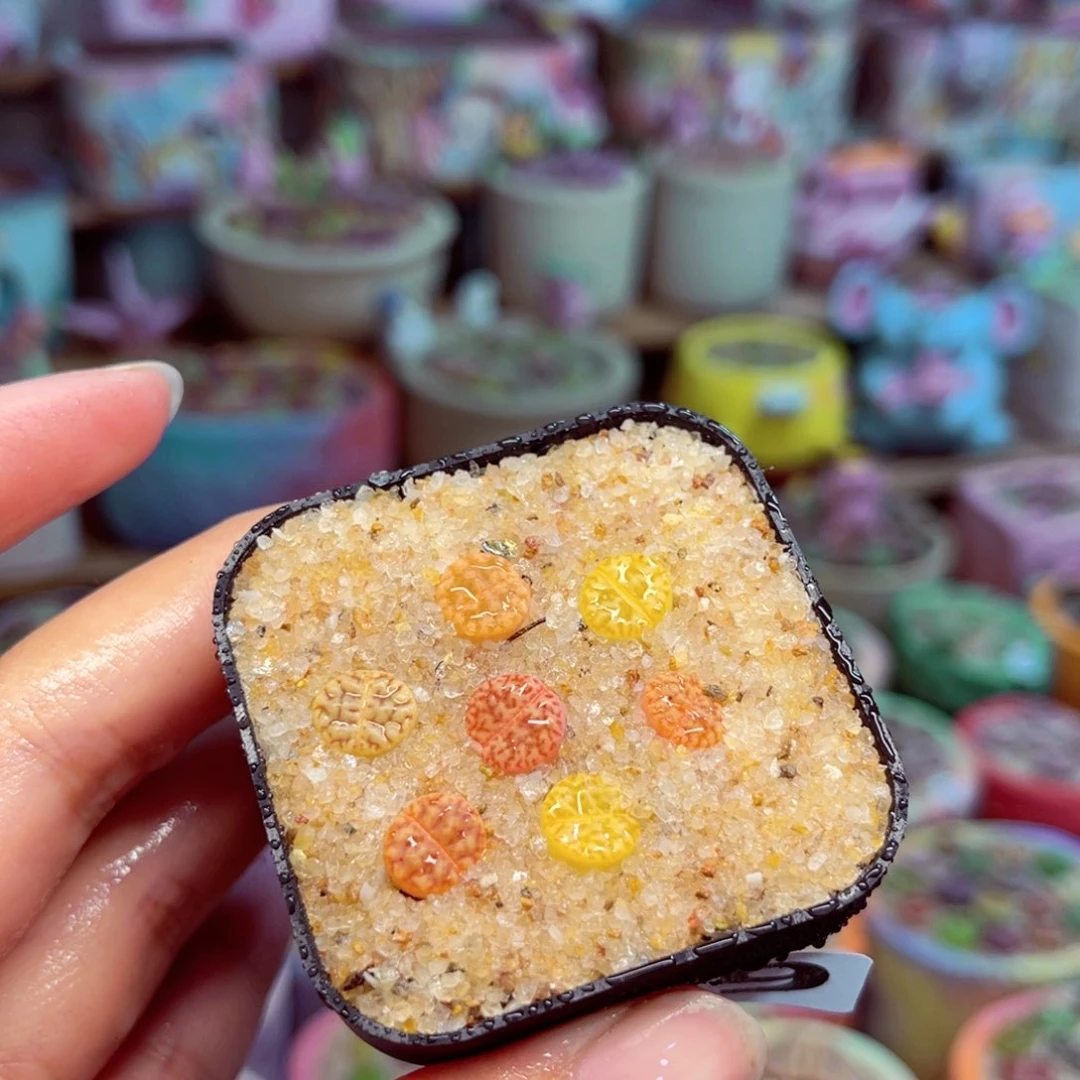 109。88888888888888