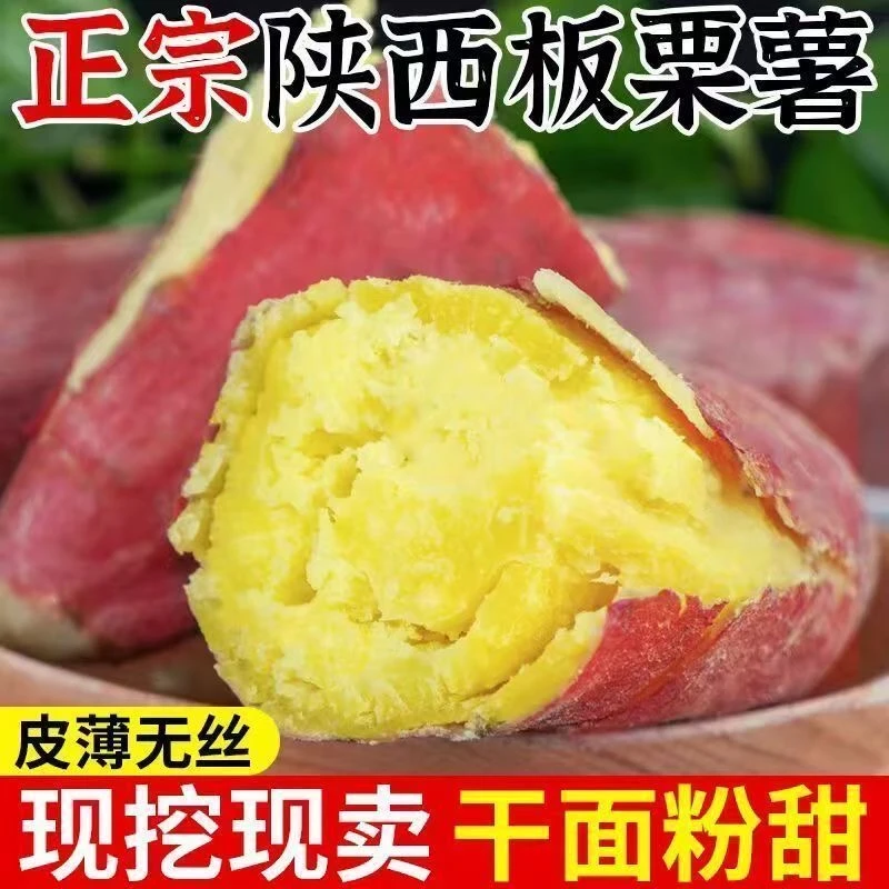陕西板栗新鲜皮薄肉厚红薯农产品香甜粉糯黄心番薯地瓜现挖现发
