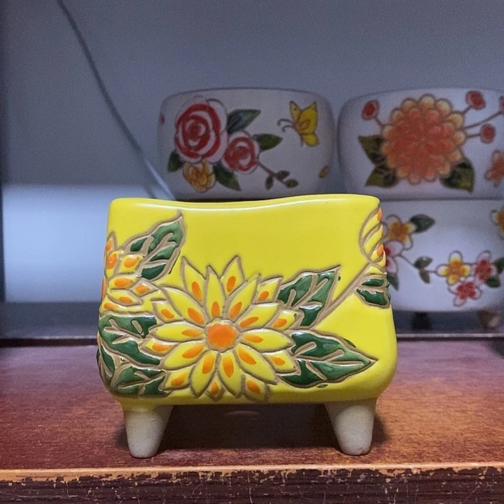 韩式多肉植物花盆