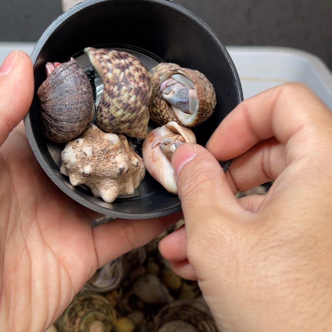 哈哈这就是为什么不可以