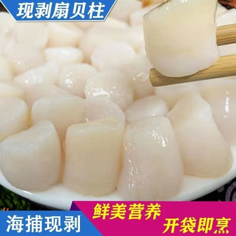 龙口胶东特产渤海湾原浆贝丁肉 新鲜贝丁 冷冻贝丁 顺风