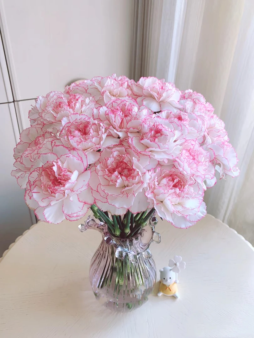 套餐71  甜甜圈桔梗一小把6朵+小天使康乃馨10支