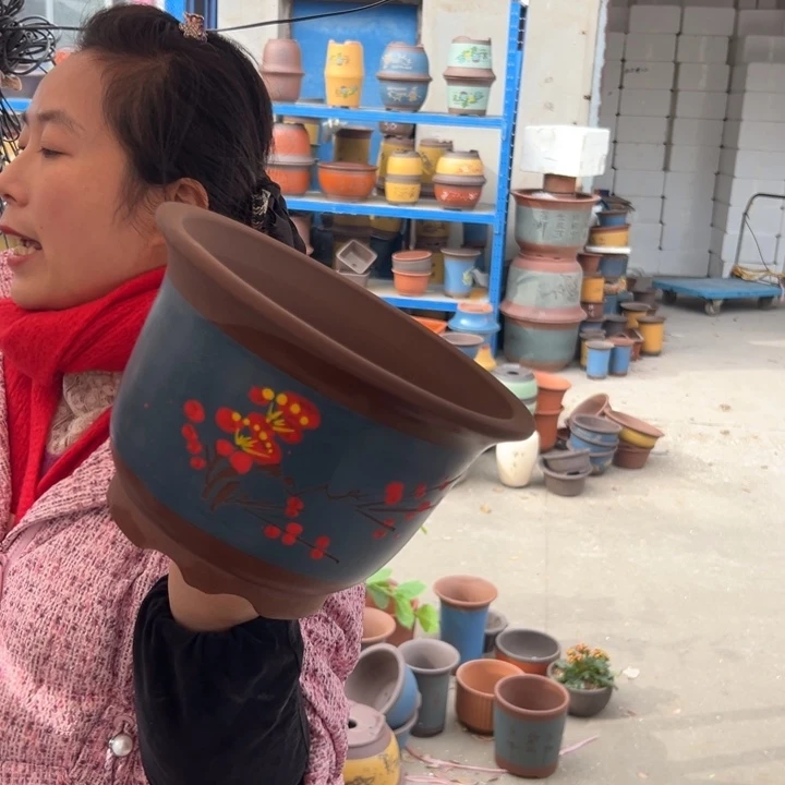 25蓝点菜平角金钟花盆