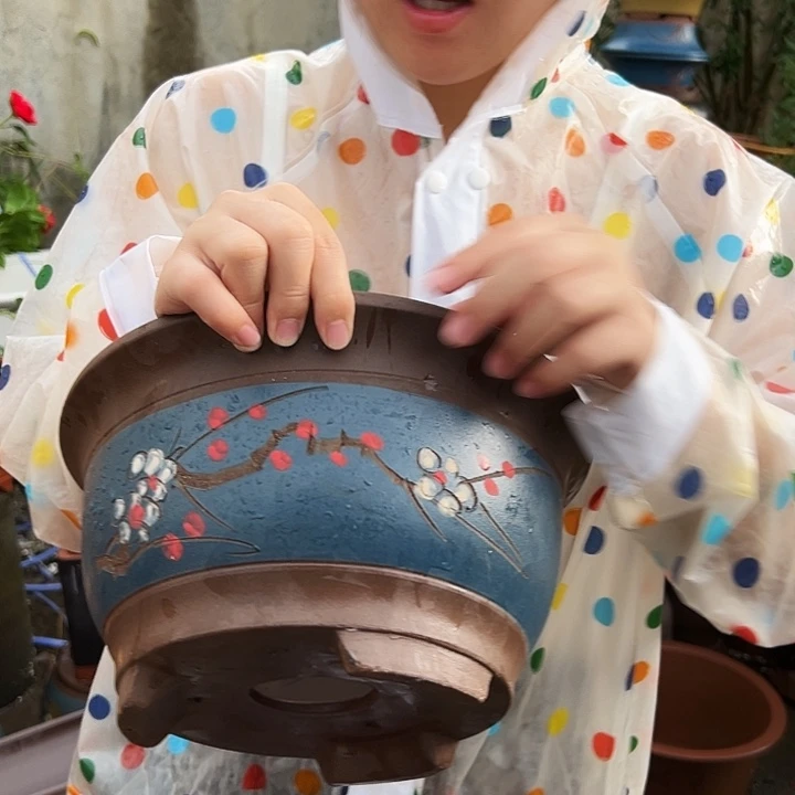 蓝富贵点菜中号×4个