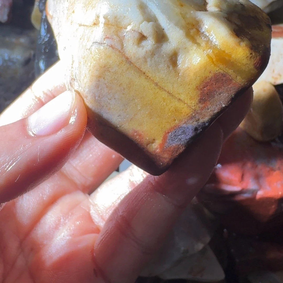 雪***舟寿山石89989989988