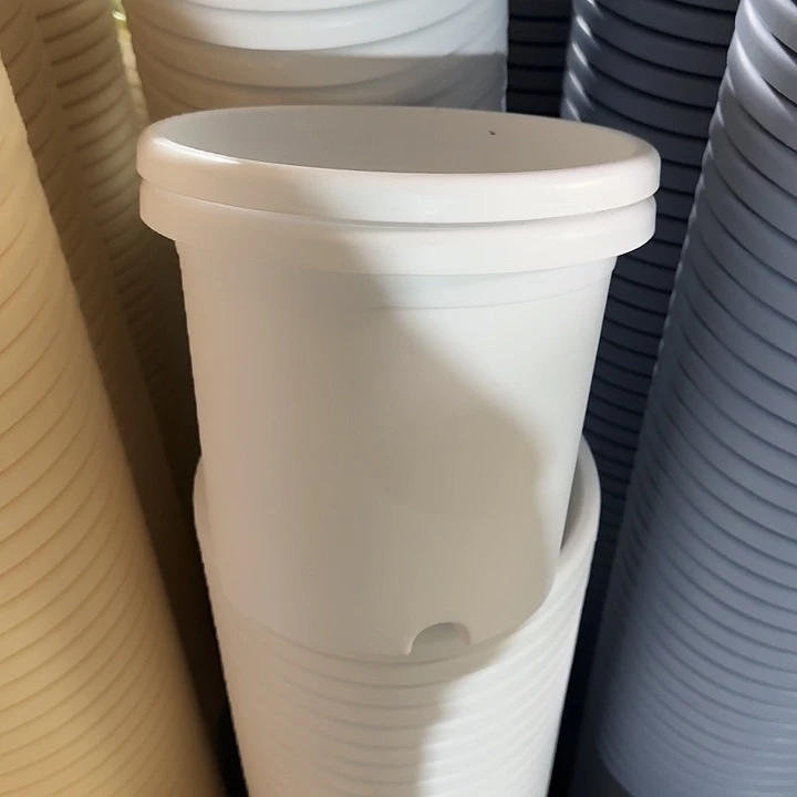 四季4#口径25白色20个无托加3号1个无托