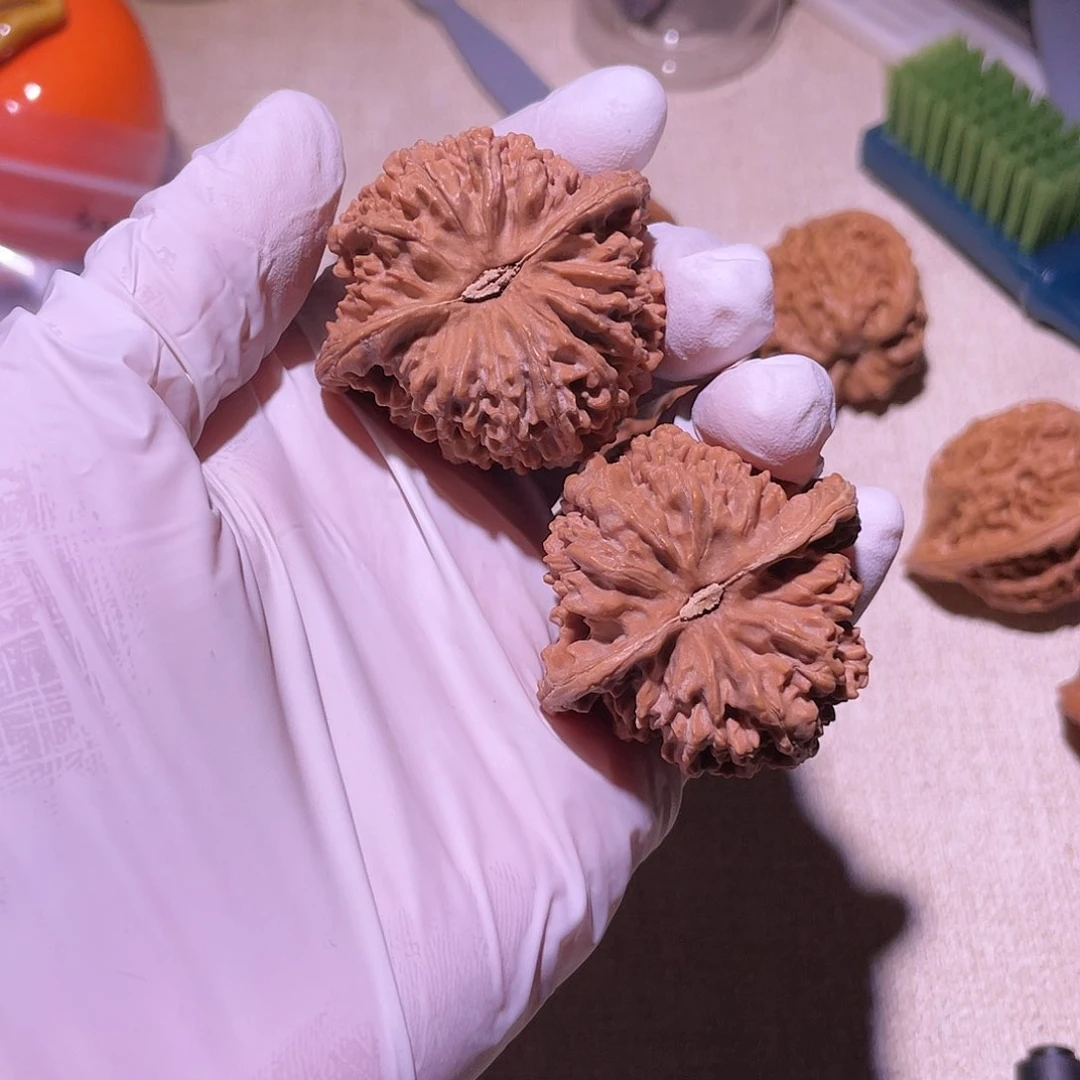 【闪购商品】墨*?43满天星