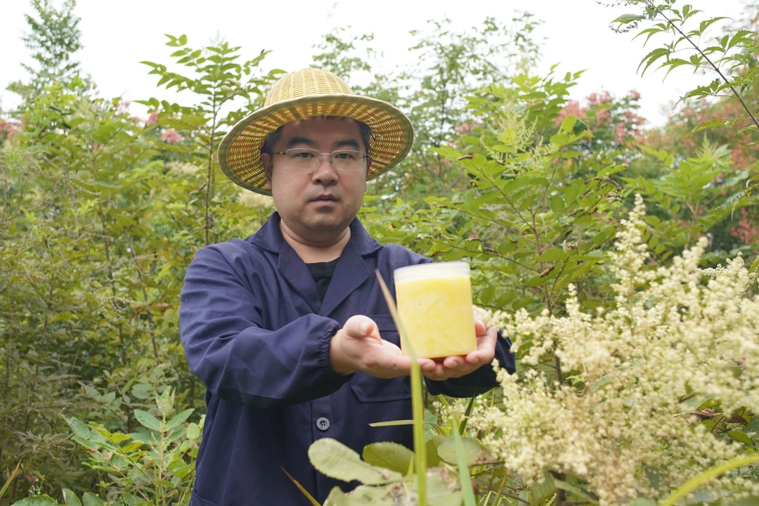 蜂王浆 蜂农直销 2025五倍子蜂王浆 500g