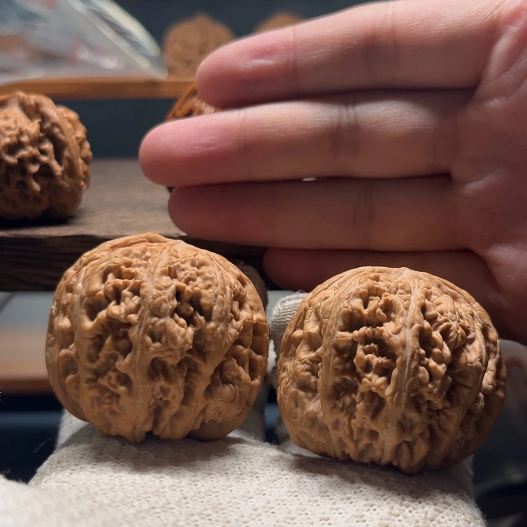 45全品平谷大粗筋狮子头