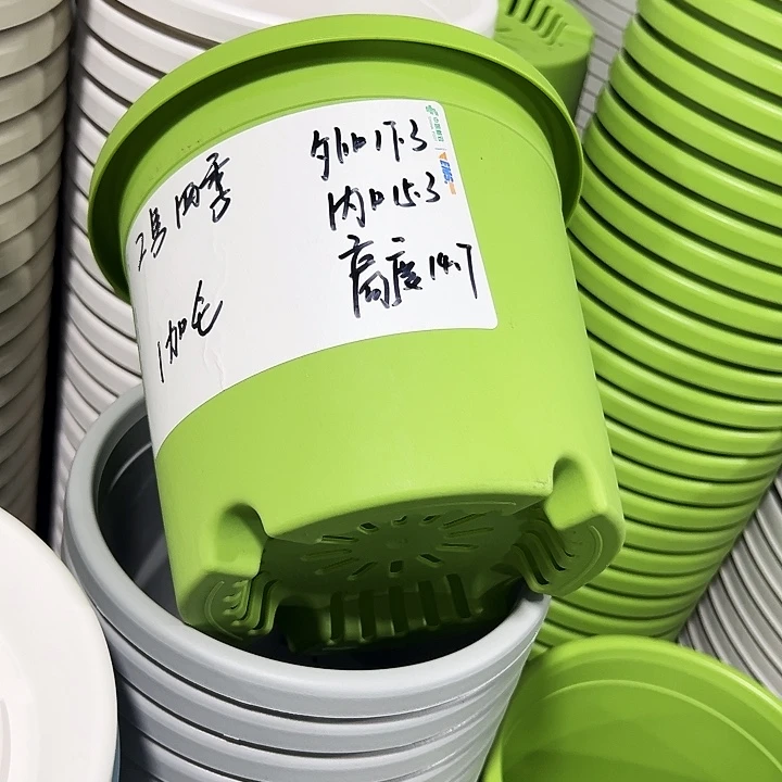 特价2号四季口17.3高14.7果绿带托10只