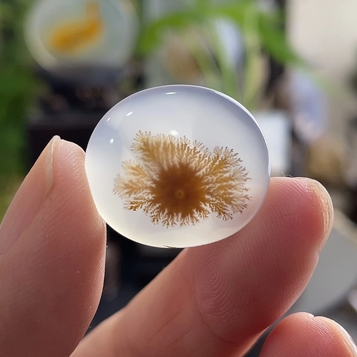 玛瑙/玉髓未镶嵌珠宝半成品