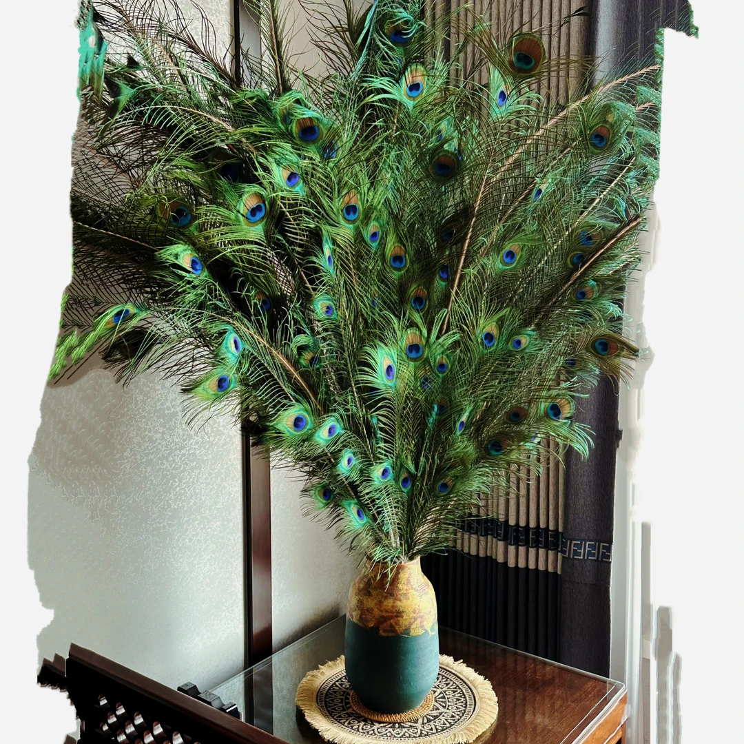 云南真孔雀羽毛孔雀之乡德宏特产特色小众客厅书房店铺装饰饰品