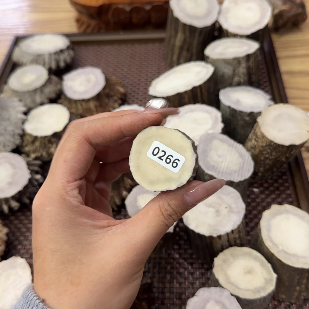 其他鹿骨0266根断