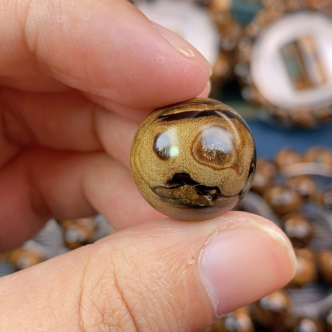 木纯天然海柳血柳2.0