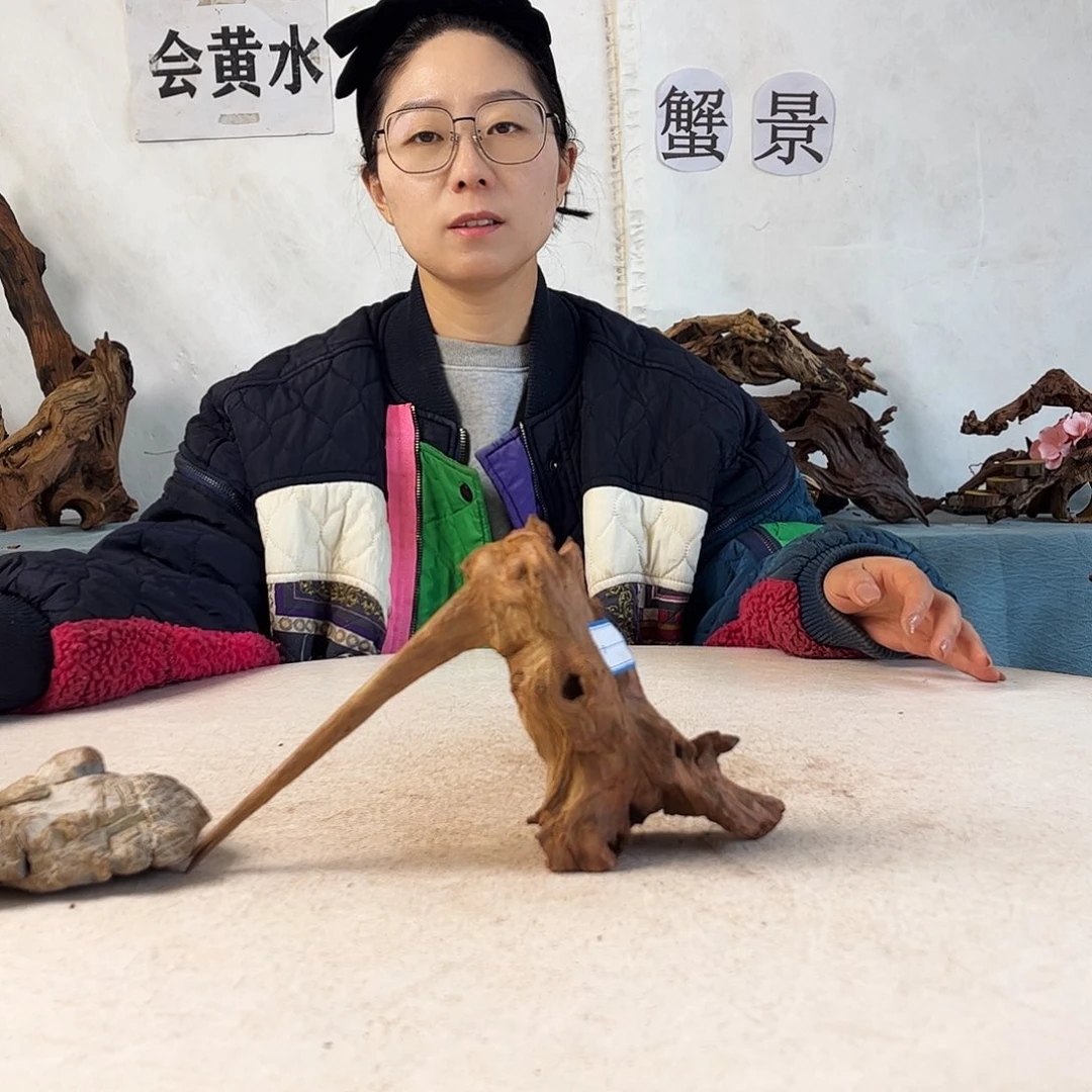 沉木造景爬宠造景