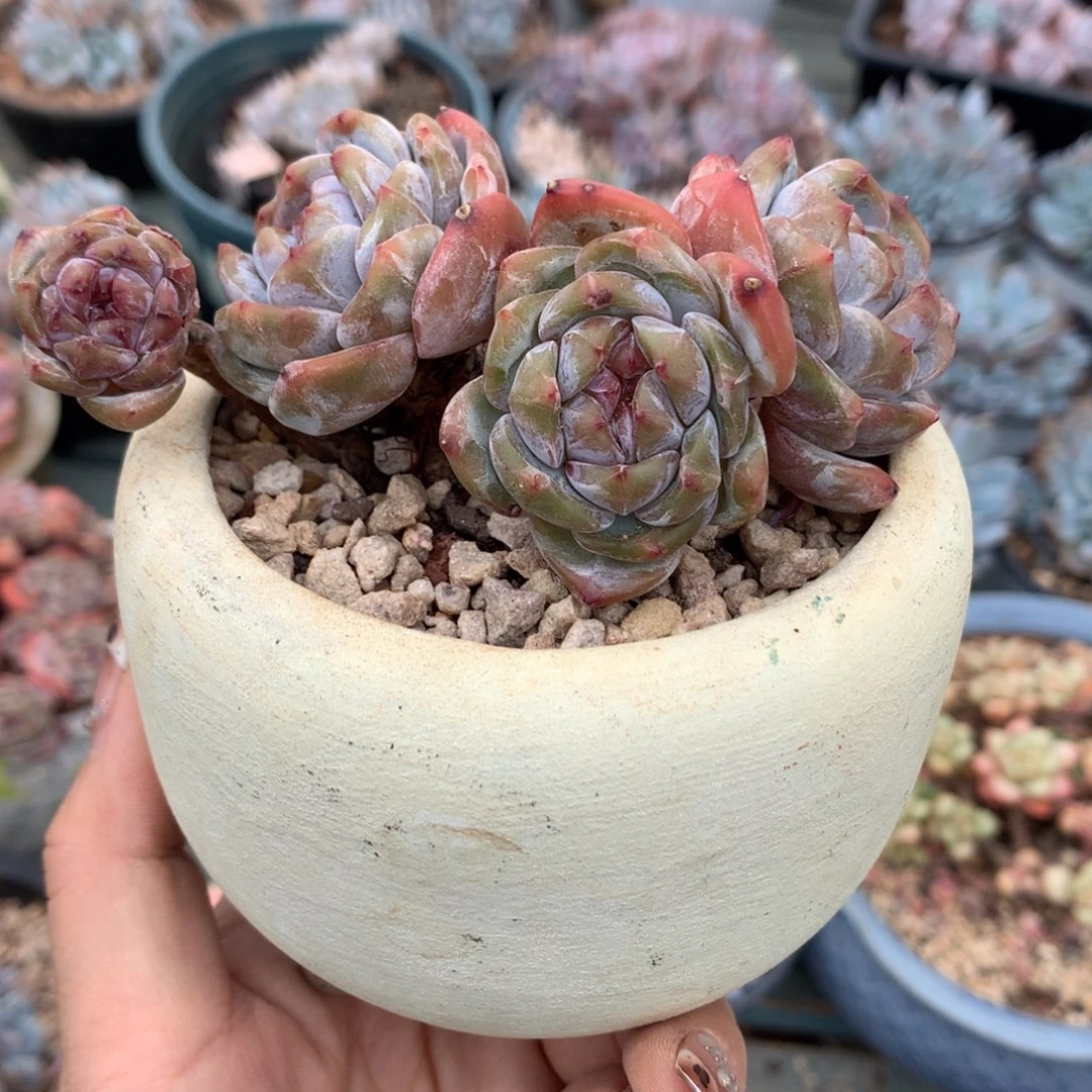 哈哈哈哈哈哈哈哈哈哈哈哈