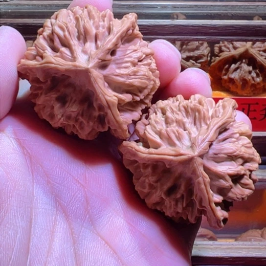 嘎嘎正土豪级龙奔46+边43高
