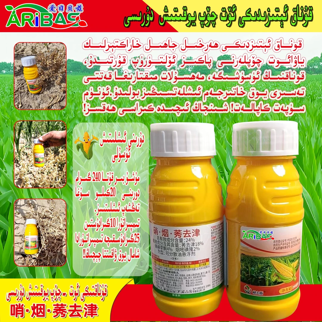 玉米除草剂，一年生杂草