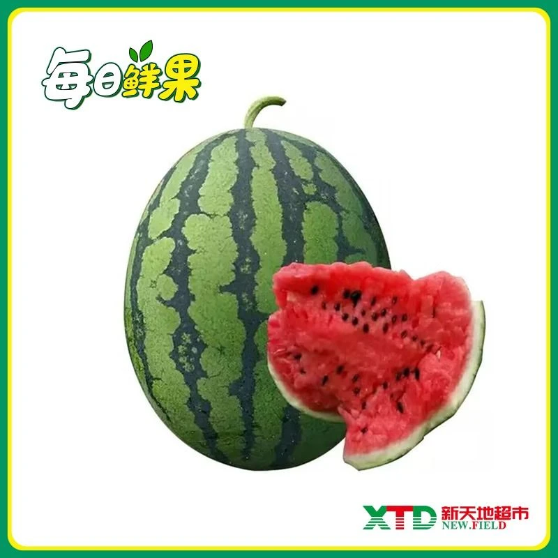【新鲜水果】半个清甜爽口的甜王西瓜4-5斤