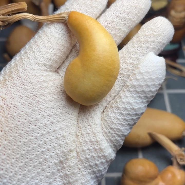 甲***胺6666666666666666666