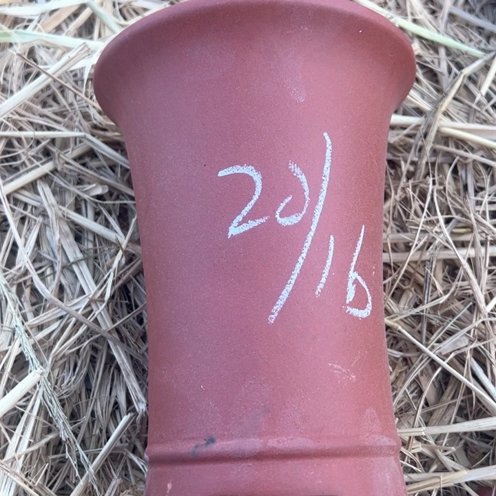 红陶紫砂兰花盆wei x