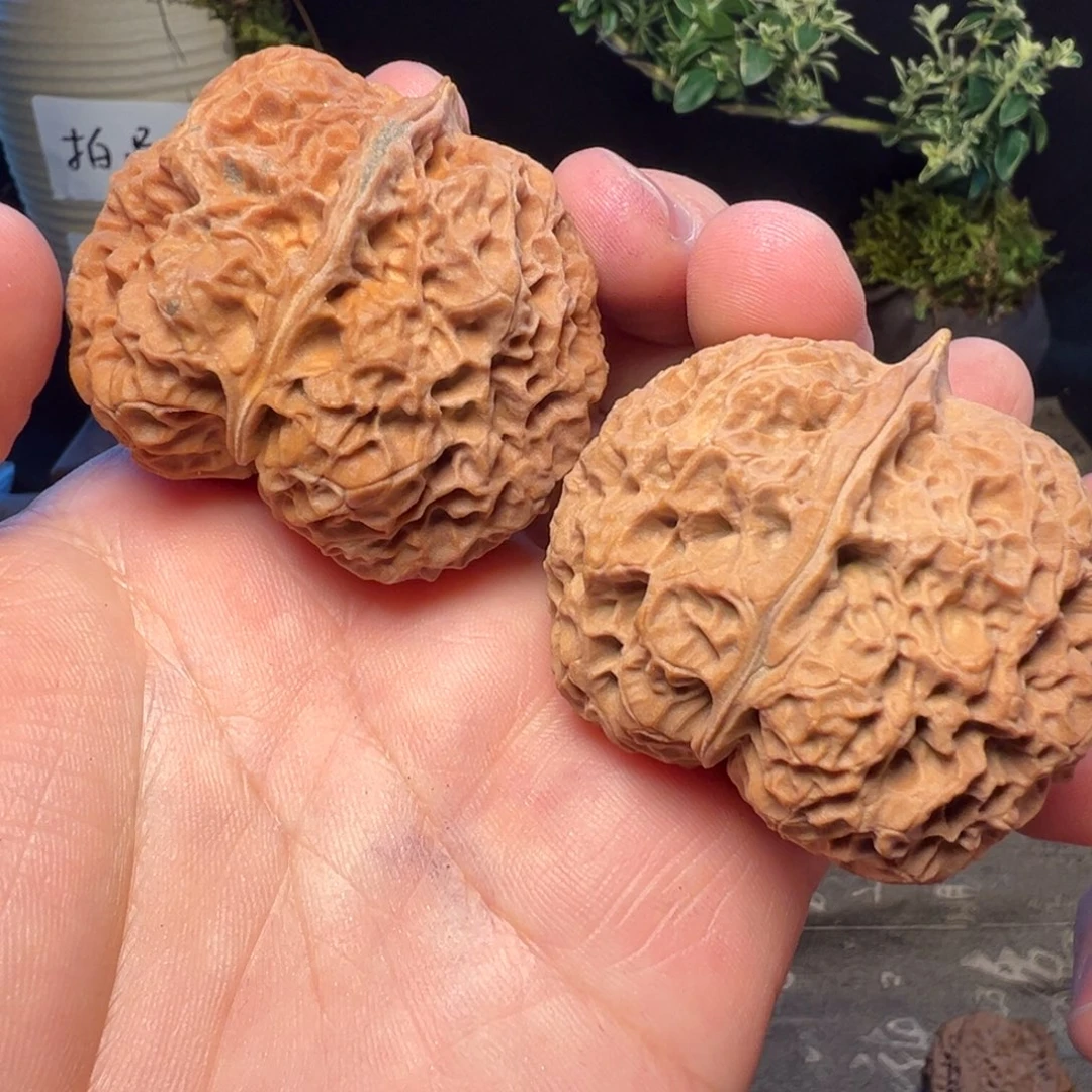 文玩核桃吊坠大元宝蟾48mm，67克