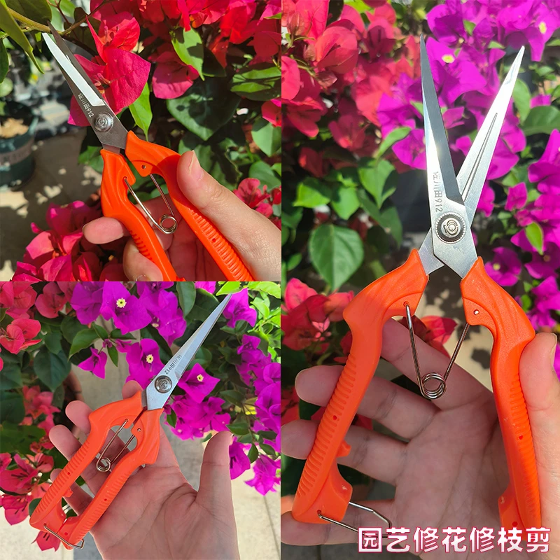 修花修嫩枝盆景园艺三角梅修枝修叶剪疏花疏果果蔬采摘剪刀花艺剪