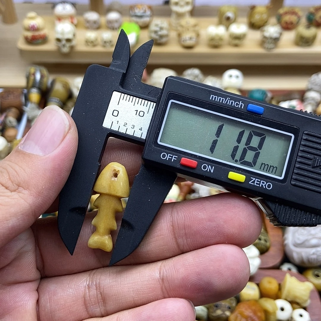 其他驼骨小鱼侧挂