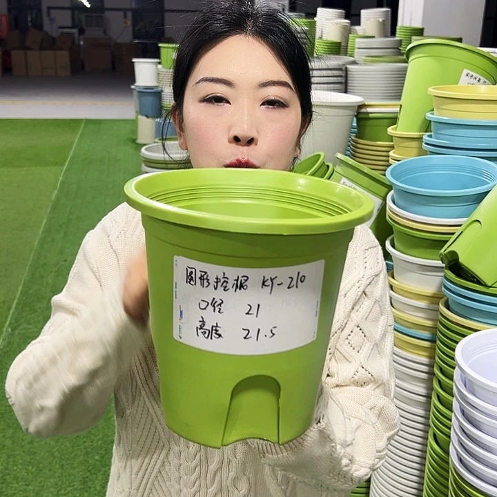 正品圆控口21高21果绿8只无托