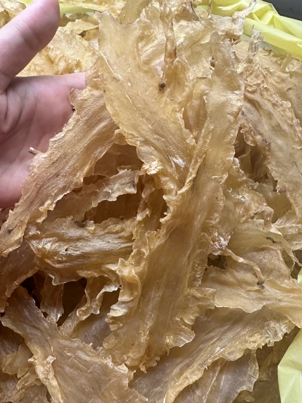 精选深海鳕鱼胶55头  炖牛奶  炖汤  胶质满满