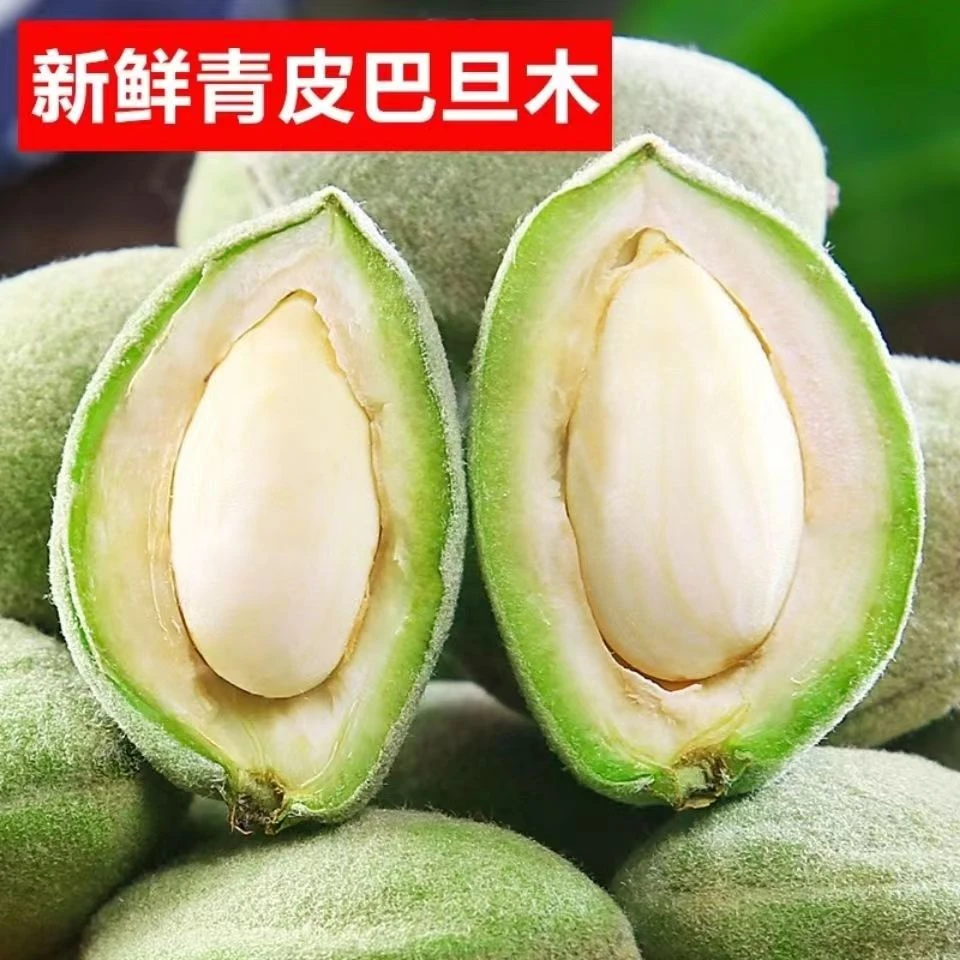 2025年精选新鲜现摘青皮巴旦木产地直采大杏仁即食鲜果2.5/5斤
